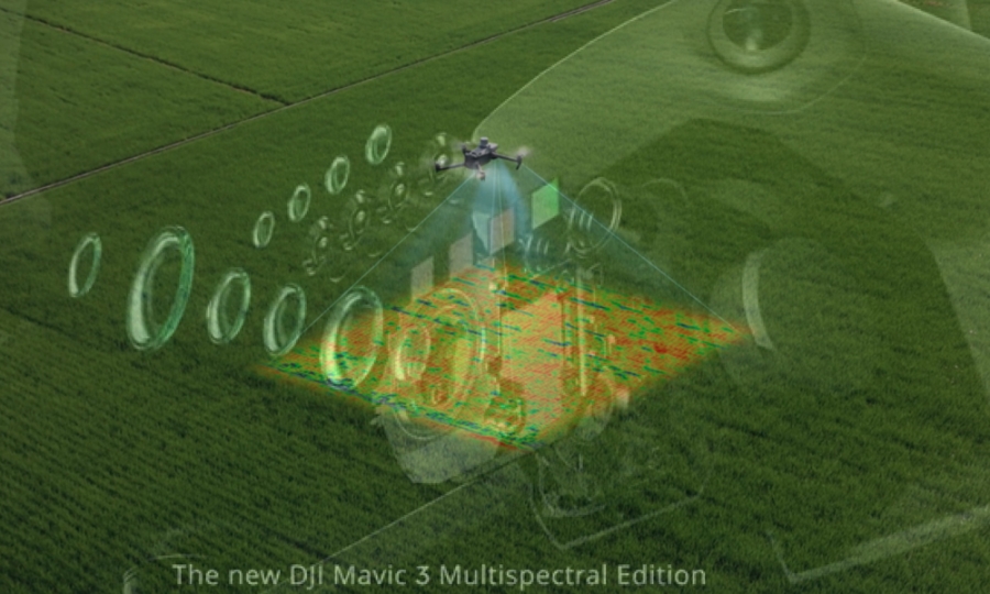 Drones para monitorizar cultivos
